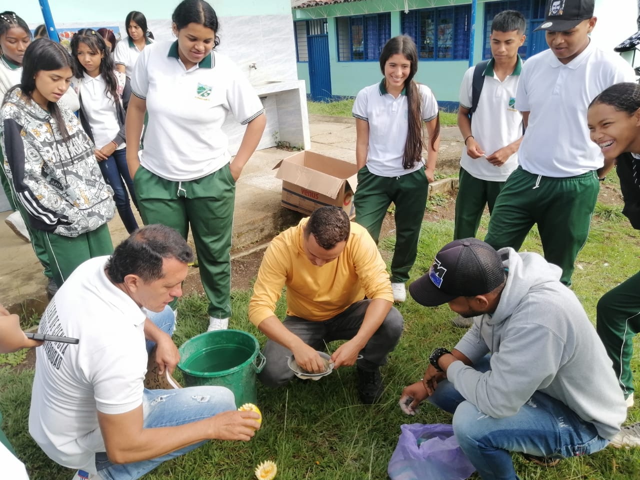 texto de prueba
